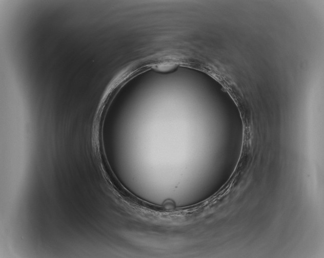 X0000115530004200911061449