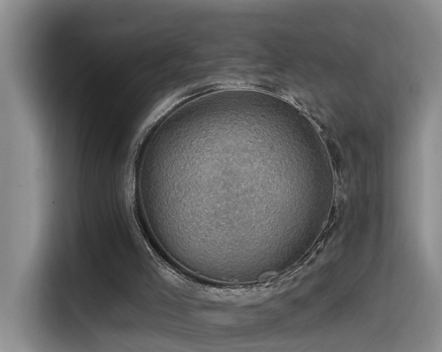 X0000115530005200911061449