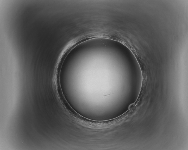 X0000115530006200911061449