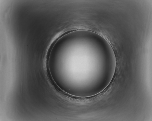 X0000115530008200911061449