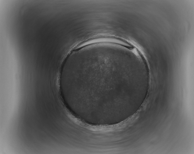 X0000115530009200911061449