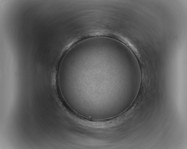 X0000115530010200911061449