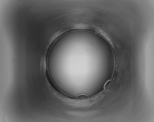 X0000115530011200911061449