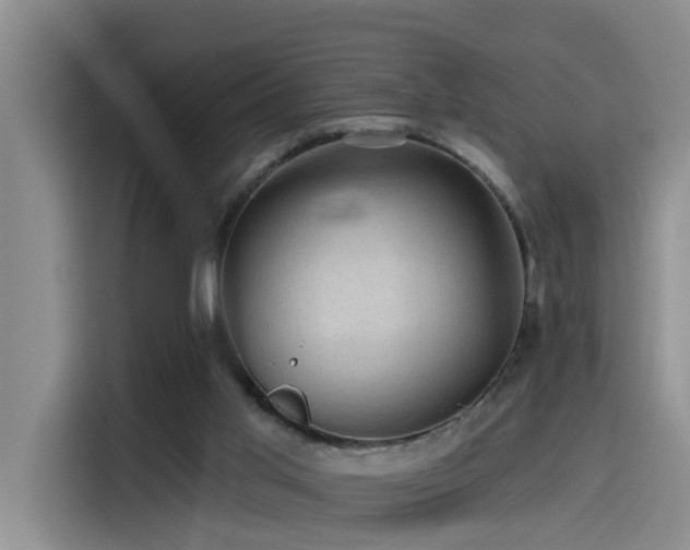 X0000115530013200911061449