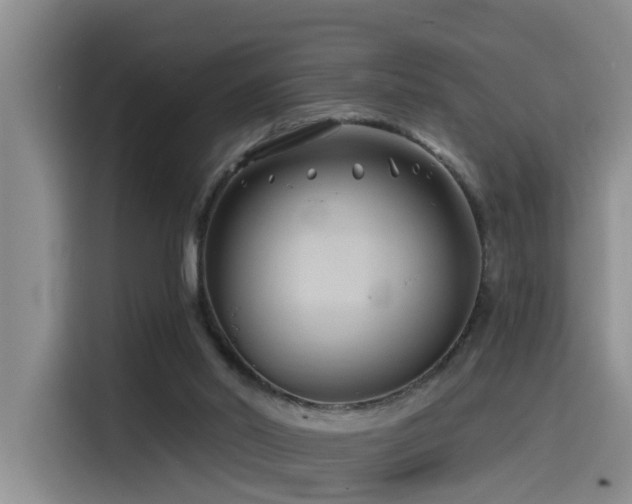 X0000115530014200911061449