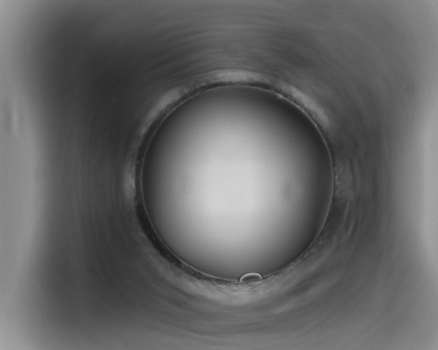 X0000115530015200911061449