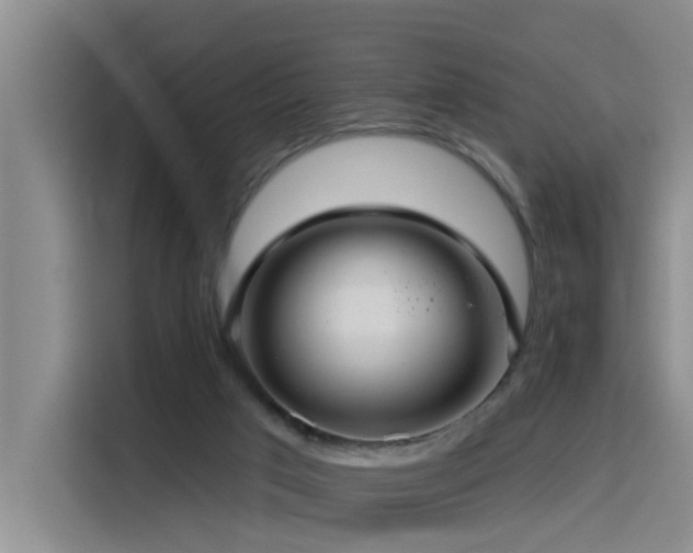 X0000115530017200911061449