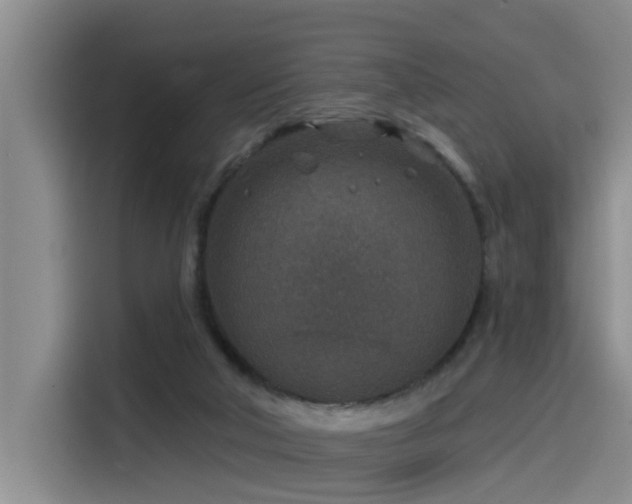 X0000115530018200911061449