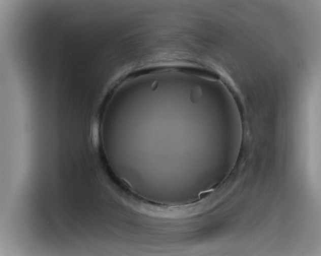 X0000115530019200911061449