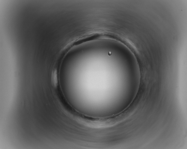 X0000115530020200911061449