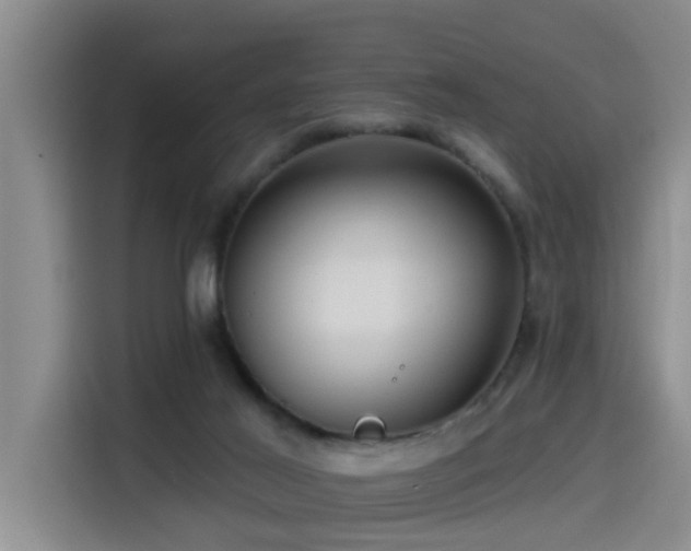 X0000115530021200911061449