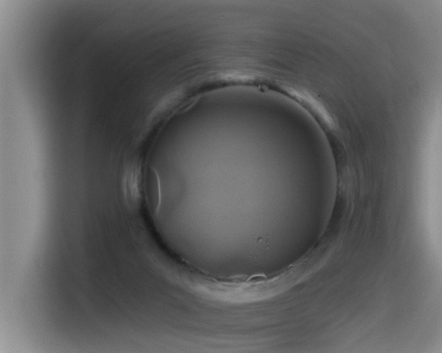 X0000115530023200911061449