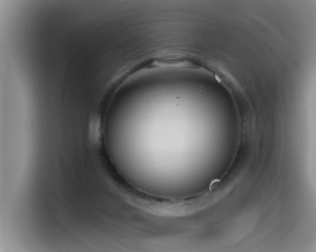 X0000115530024200911061449