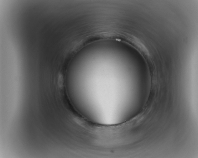 X0000115530025200911061449