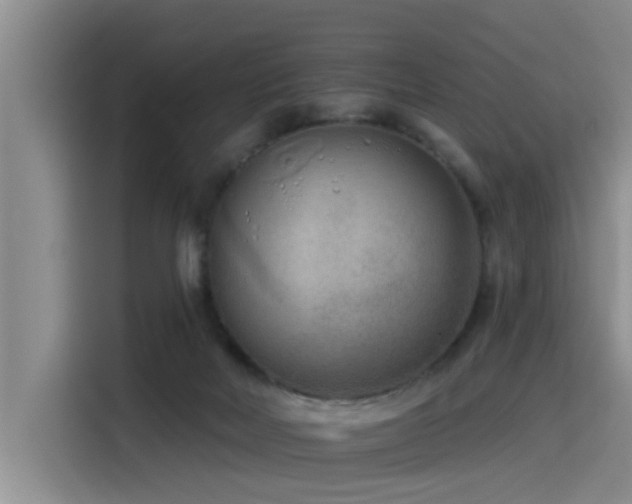 X0000115530026200911061449