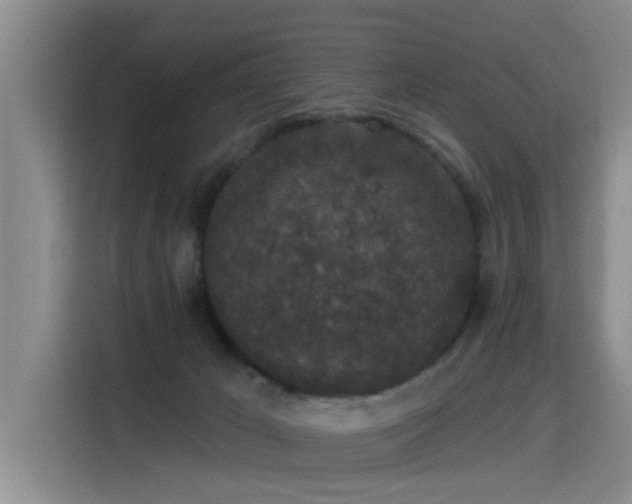 X0000115530029200911061449