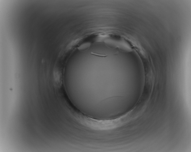 X0000115530031200911061449