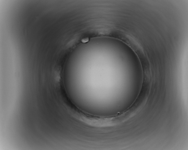 X0000115530032200911061449