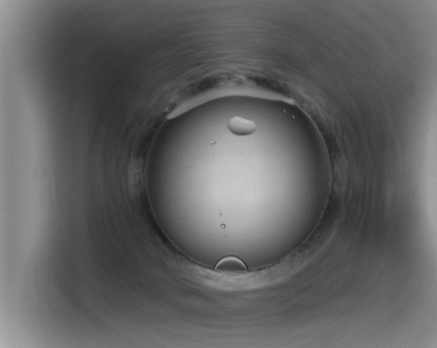 X0000115530034200911061449