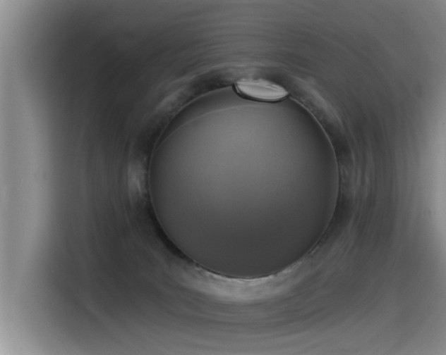 X0000115530035200911061449