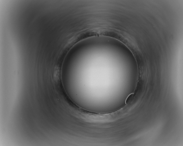 X0000115530036200911061449