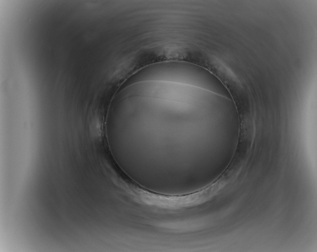 X0000115530039200911061449