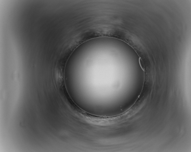 X0000115530040200911061449