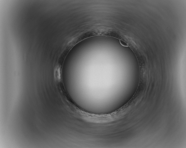 X0000115530042200911061449