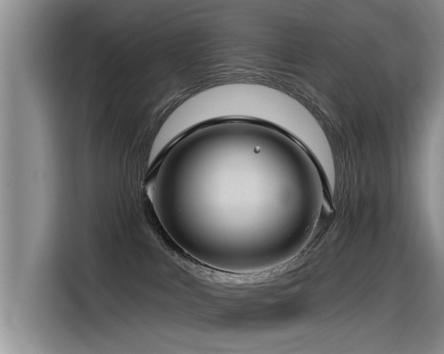 X0000115530043200911061449