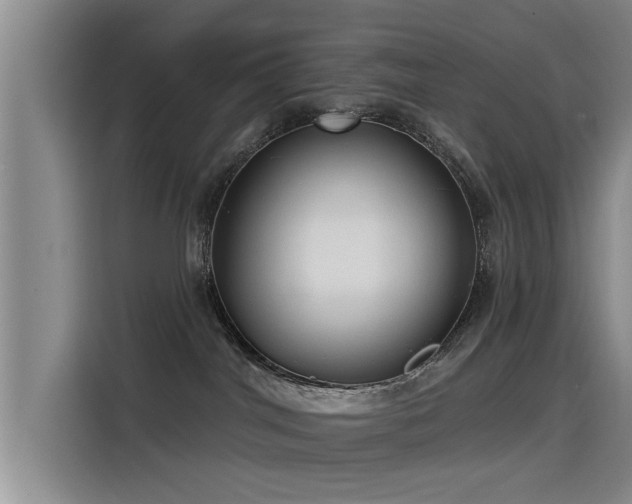 X0000115530044200911061449