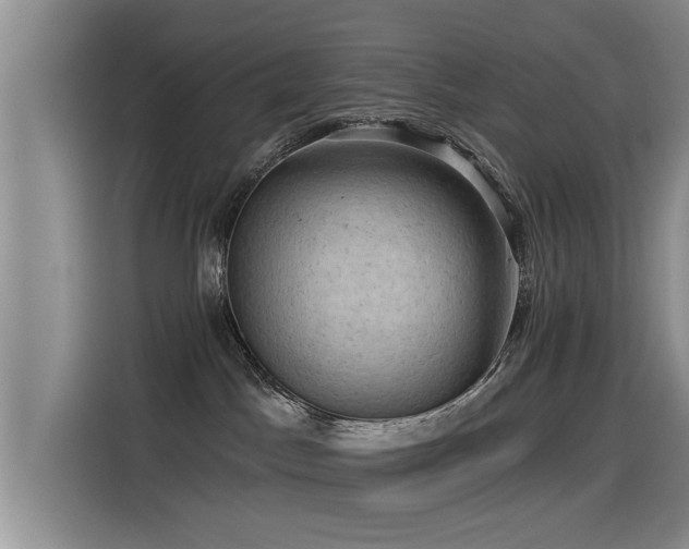 X0000115530045200911061449