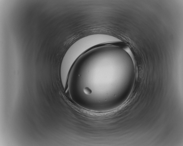 X0000115530047200911061449