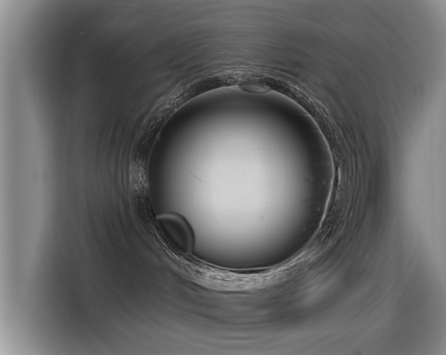 X0000115530048200911061449