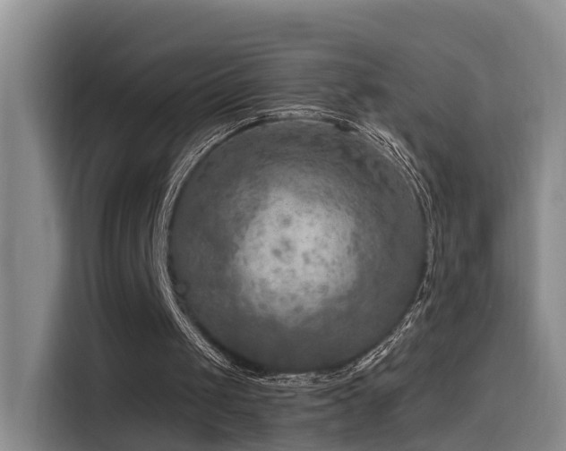 X0000115530049200911061448