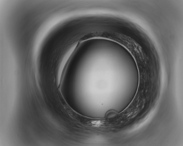 X0000115530050200911061448