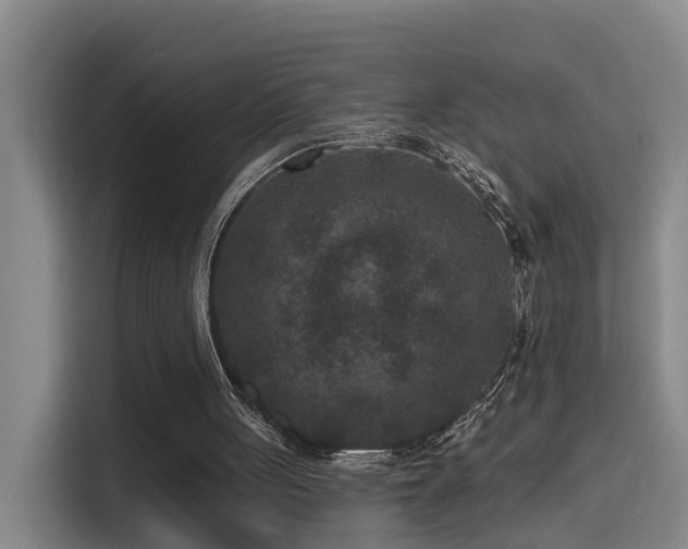 X0000115530051200911061448