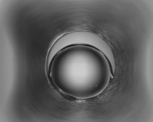 X0000115530052200911061448