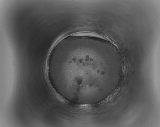 X0000115530053200911061448