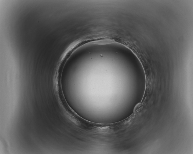 X0000115530054200911061448