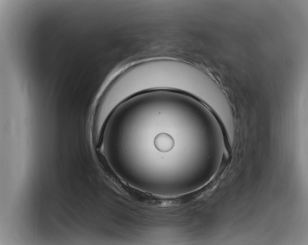 X0000115530056200911061448