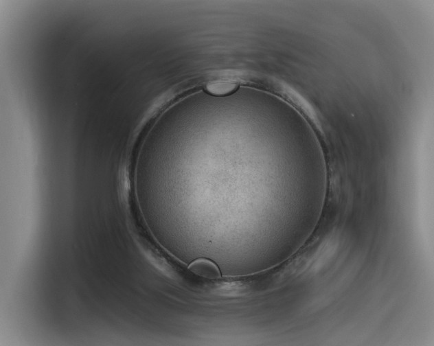 X0000115530059200911061448