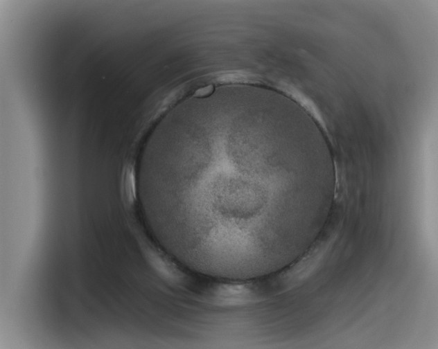 X0000115530061200911061448