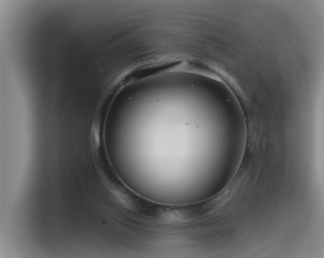 X0000115530062200911061448