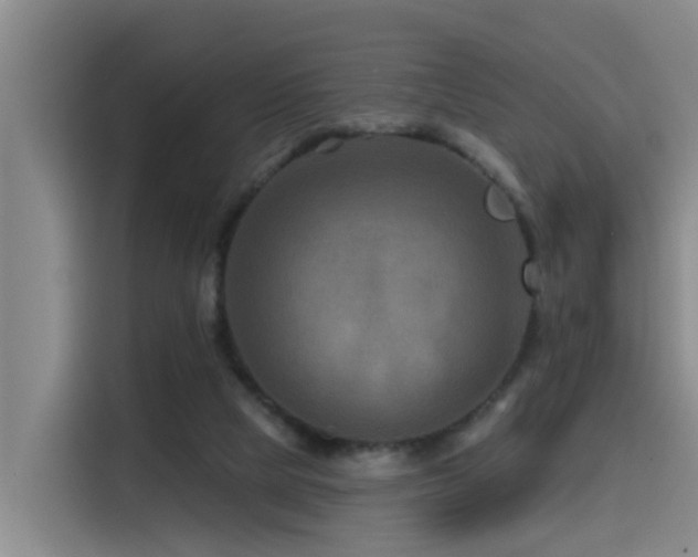 X0000115530065200911061448