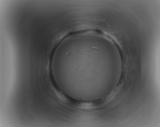 X0000115530066200911061448