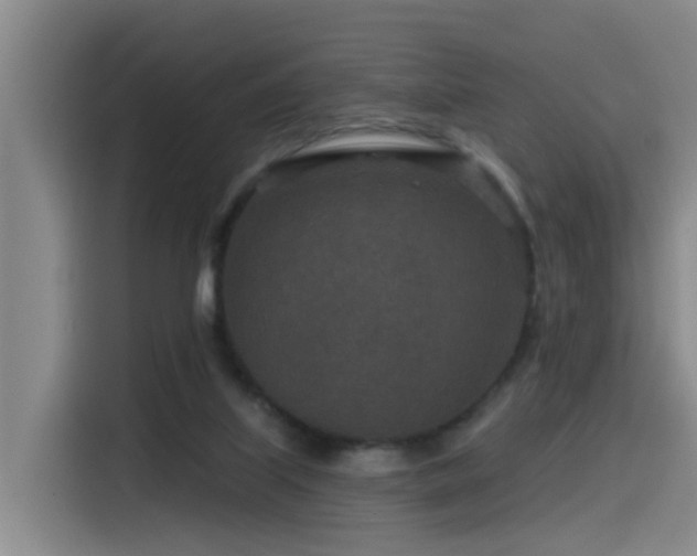 X0000115530067200911061448