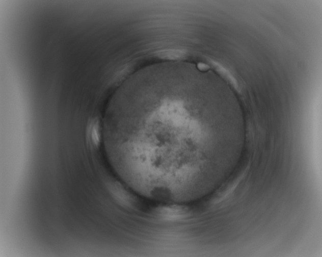 X0000115530069200911061448