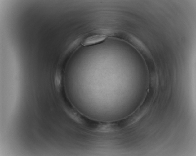 X0000115530072200911061448