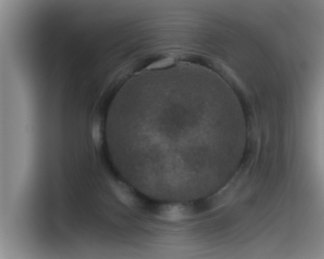 X0000115530074200911061448