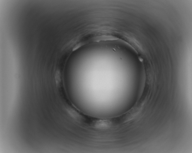 X0000115530077200911061448